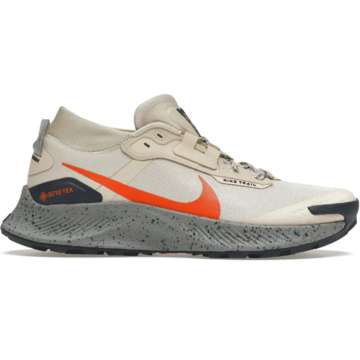 Кроссовки для бега мужские Nike Pegasus Trail 3 G-TX
