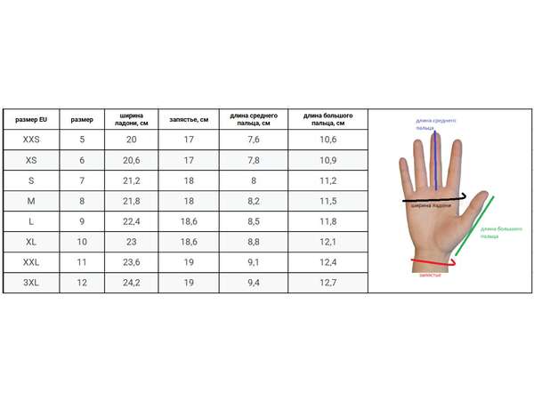 Купить Перчатки Noname Thermo Gloves 24 в Минске по низким ценам. Описание, фото, стоимость, отзывы. Доставка по Беларуси.