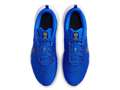 Кроссовки для бега мужские Nike Downshifter 12 Blue