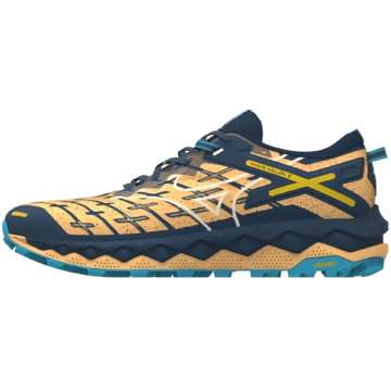 Кроссовки для бега мужские Mizuno Wave Mujin 10