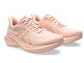 ⚡️Кроссовки для бега женские Asics GT-2000 13