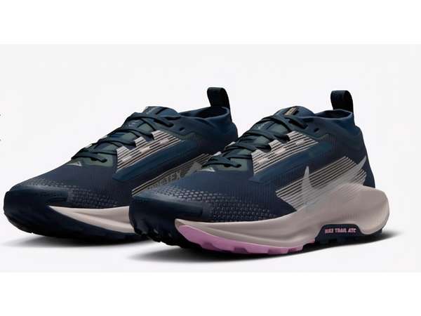 Купить Кроссовки для бега женские Nike Pegasus Trail 5 Gore-Tex Blau в Минске по низким ценам. Описание, фото, стоимость, отзывы. Доставка по Беларуси.