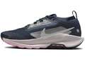 Кроссовки для бега женские Nike Pegasus Trail 5 Gore-Tex Blau