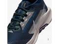 Кроссовки для бега женские Nike Pegasus Trail 5 Gore-Tex Blau