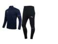 Спортивный костюм teamgoal Tracksuit Core Peacot-Puma Bla
