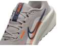 Кроссовки для бега мужскиеt Nike Downshifter 13