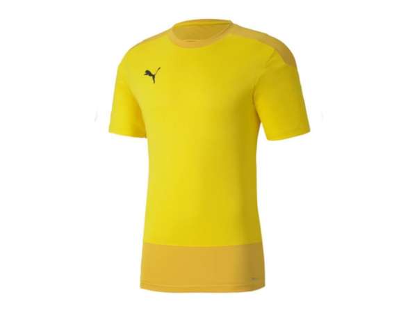 Купить Футболка игровая мужская Puma eamGOAL 23 Training Jersey в Минске по низким ценам. Описание, фото, стоимость, отзывы. Доставка по Беларуси.