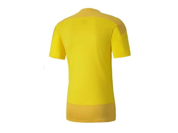 Купить Футболка игровая мужская Puma eamGOAL 23 Training Jersey в Минске по низким ценам. Описание, фото, стоимость, отзывы. Доставка по Беларуси.