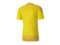 Футболка игровая мужская Puma eamGOAL 23 Training Jersey