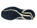 Кроссовки для бега мужские Mizuno Wave Rider TT 3