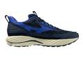 Кроссовки для бега мужские Mizuno Wave Rider TT 3