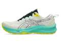 Кроссовки для бега мужские Asics GEL-TRABUCO TERRA 3
