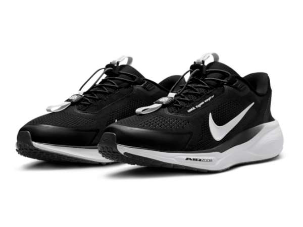 Купить Кроссовки для бега мужские Nike Pegasus EasyOn в Минске по низким ценам. Описание, фото, стоимость, отзывы. Доставка по Беларуси.