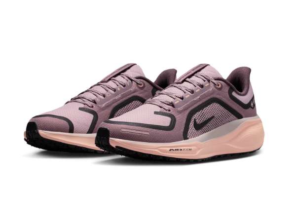 Купить Кроссовки для бега женские Nike Pegasus 41 GTX в Минске по низким ценам. Описание, фото, стоимость, отзывы. Доставка по Беларуси.